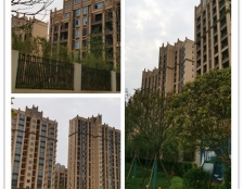 翡丽城三期