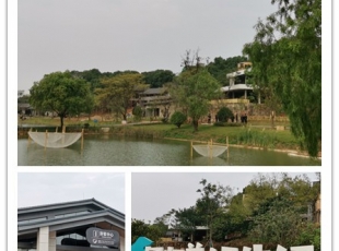洞庭湖小镇